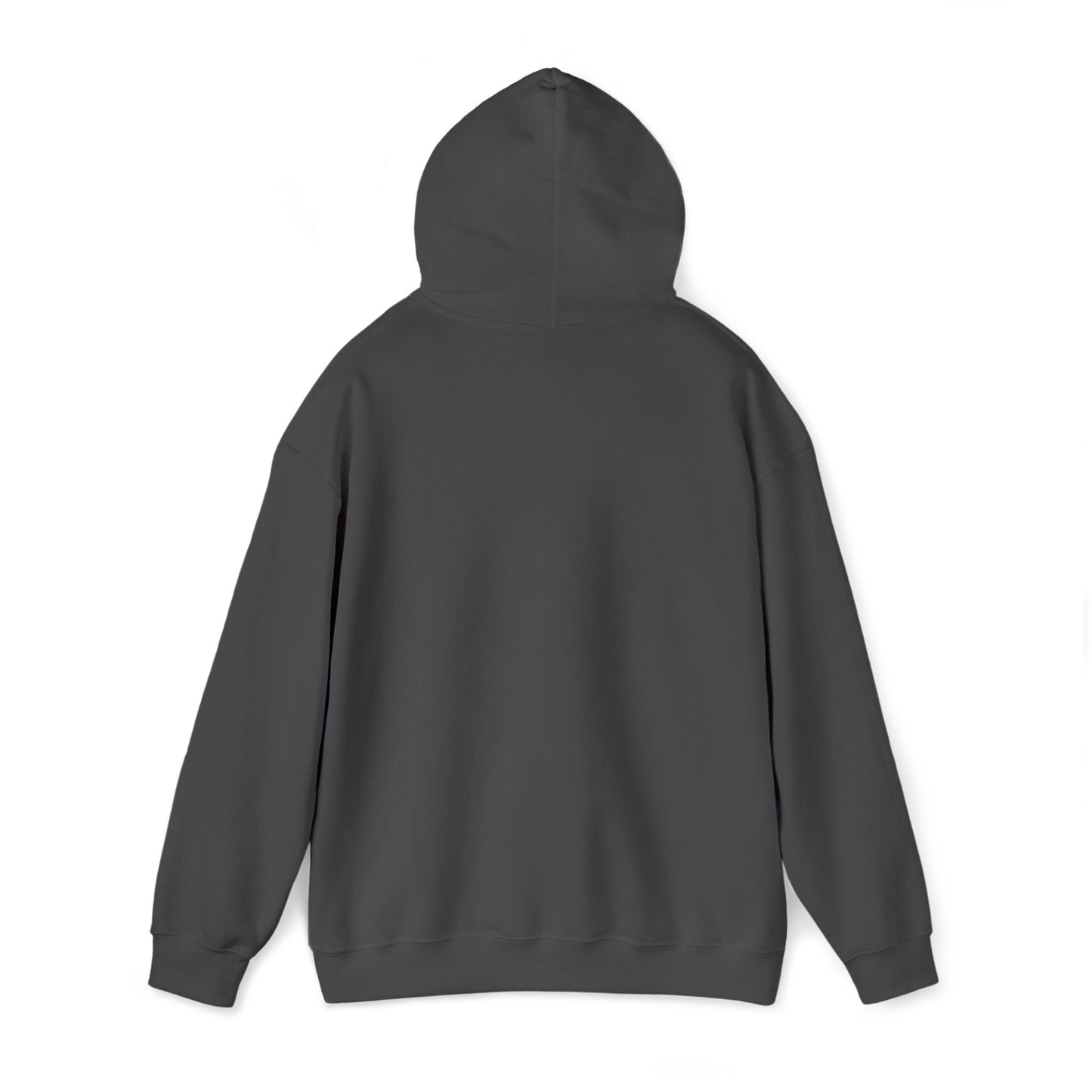 Embroidered Faith Hoodie Inspirational Trust + God Hoodie, Heavy Blend Hooded Sweatshirt, Proverbs 3:5-6