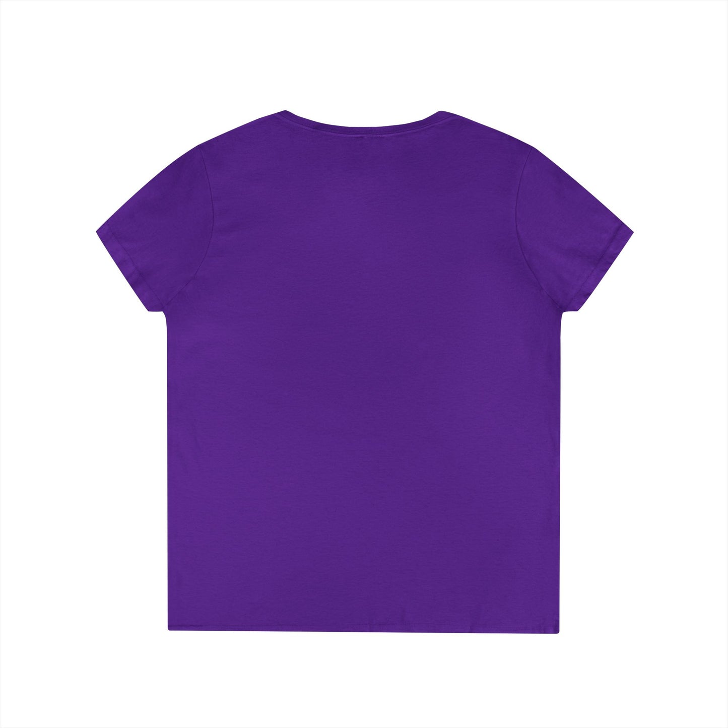 Inspirational V-Neck T-Shirt - God's Promise of Beauty and Joy