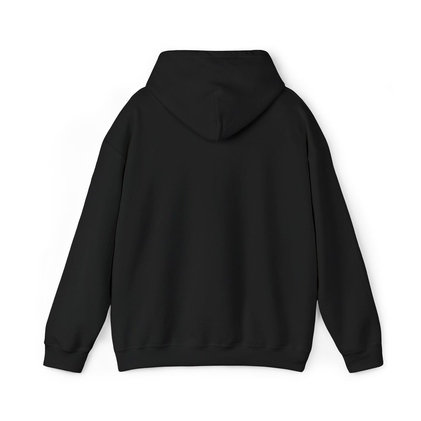Colorful Floral Embroidered Designed Hoodie