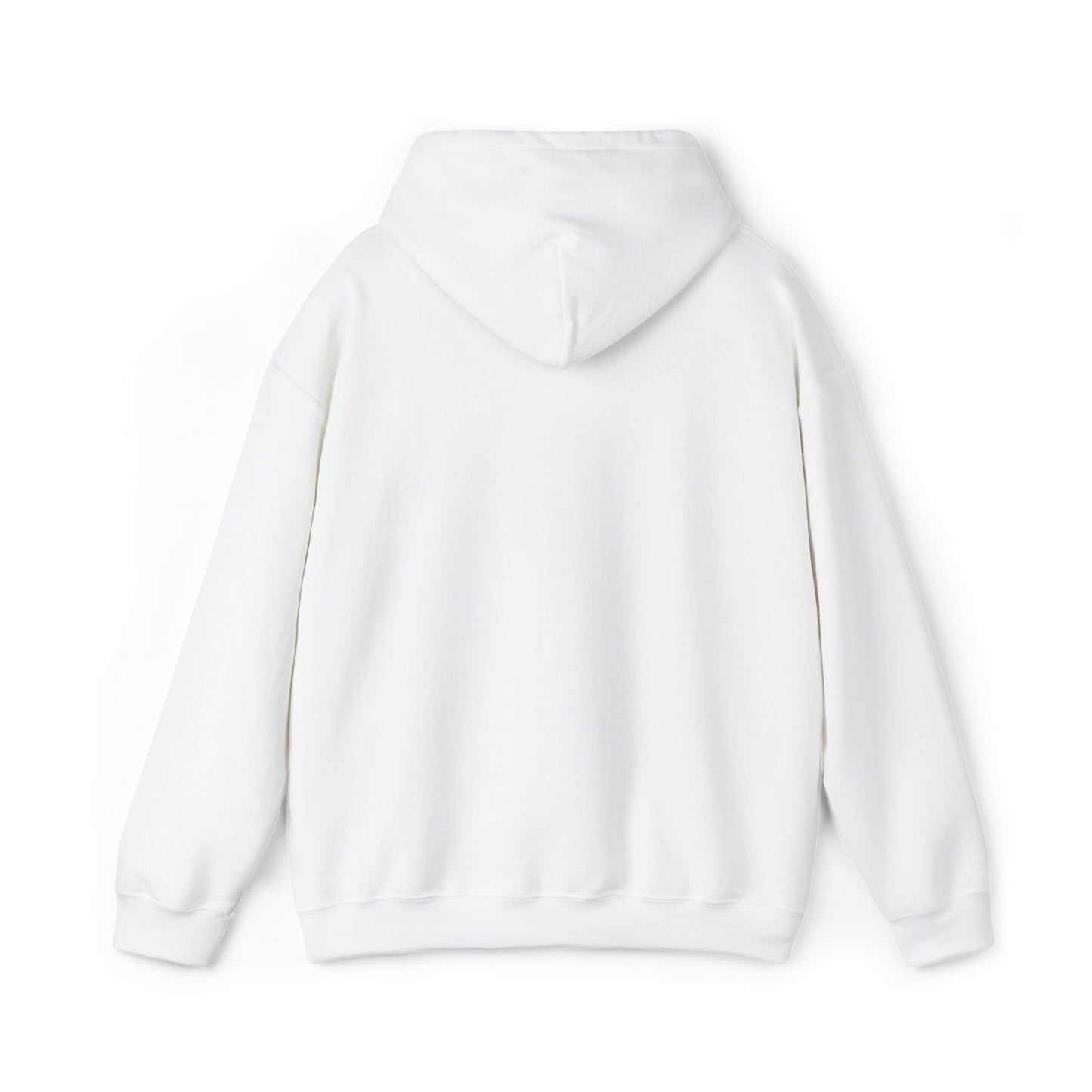 Colorful Floral Embroidered Designed Hoodie